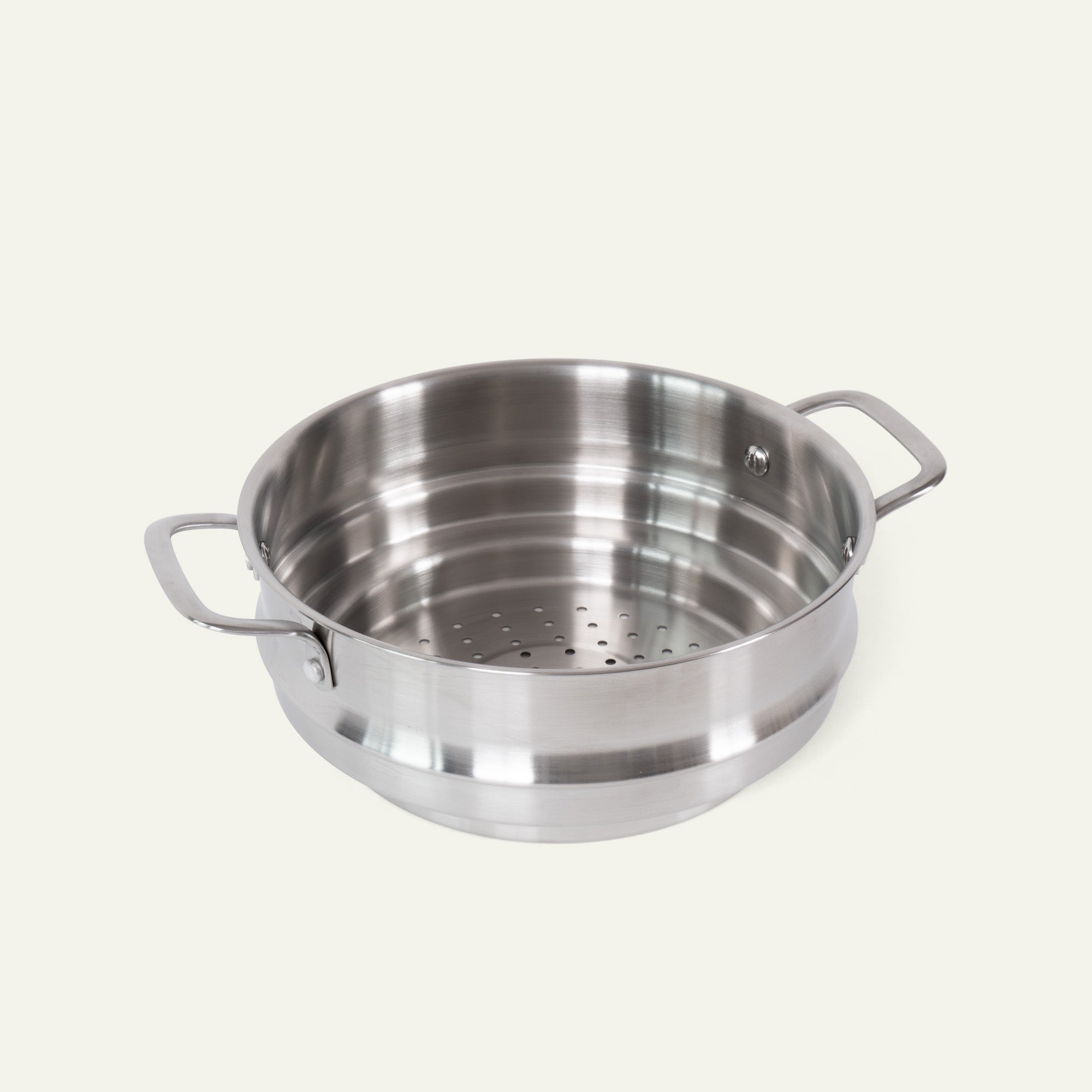 Steam insert